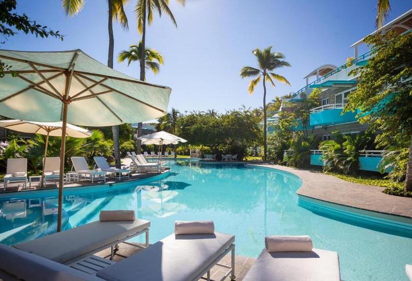 リゾートホテル Azulpitaya Beach Front Hotel In Sayulita