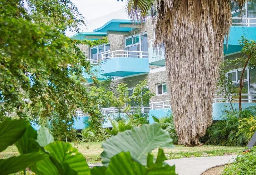 リゾートホテル Azulpitaya Beach Front Hotel In Sayulita