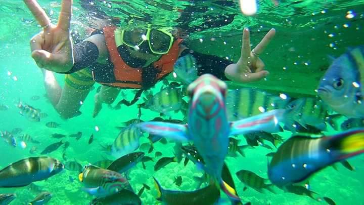 אתר נופש Daya Hill Seaview