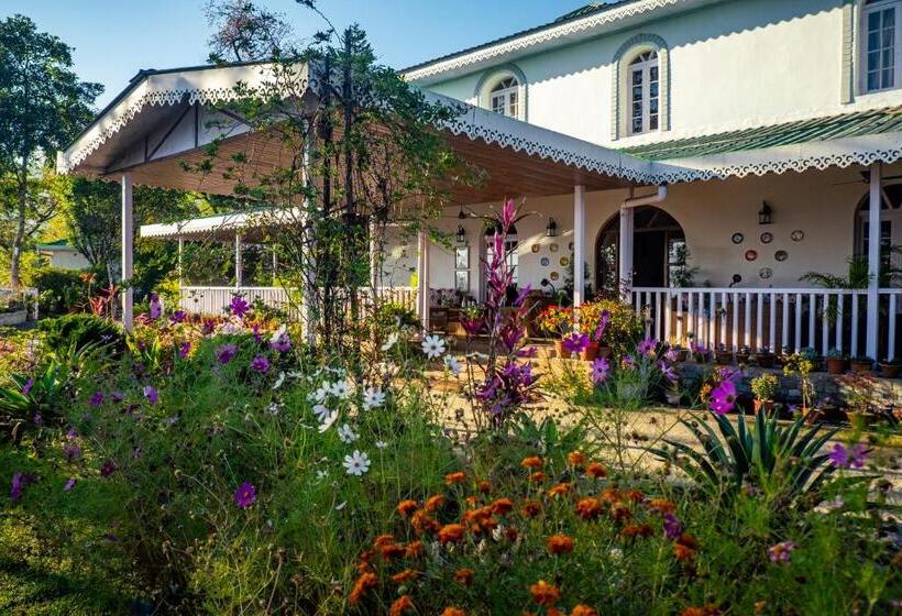 리조트 The Temi Bungalow South Sikkim