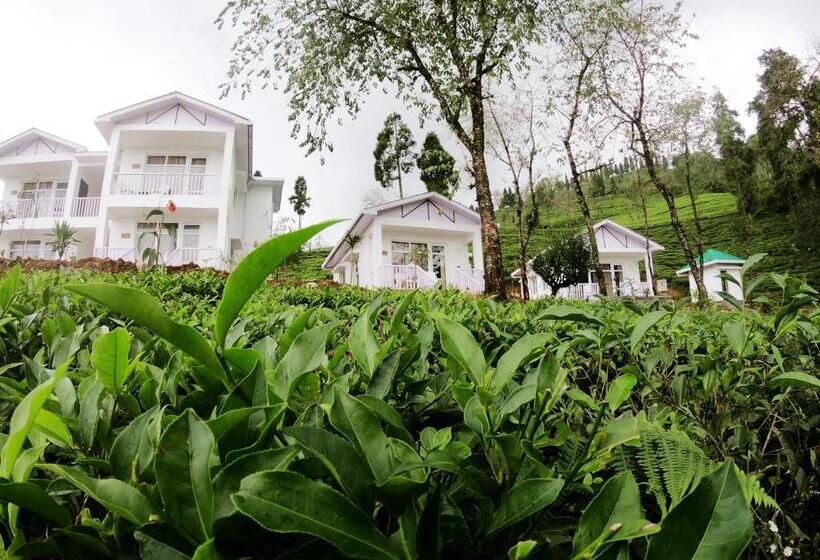 リゾートホテル The Temi Bungalow South Sikkim