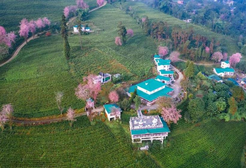 リゾートホテル The Temi Bungalow South Sikkim