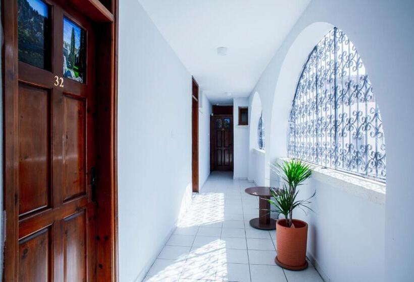 هاستل Homelike Guest House
