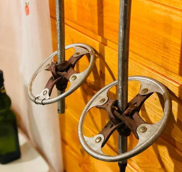 Apartahotel Canfranc