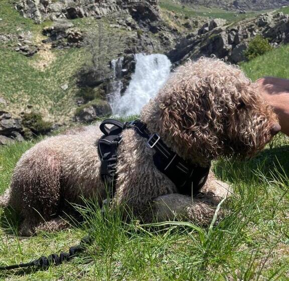 Apartahotel Canfranc