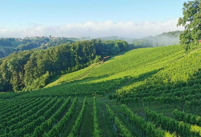 בית מלון כפרי Weingut Assigal