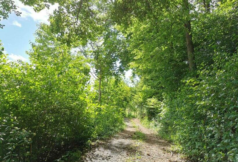 Отель Weingut Assigal