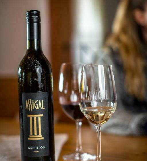 בית מלון כפרי Weingut Assigal