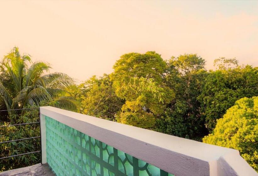 Les Suites Calle 2 By Galian