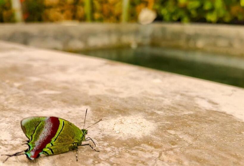 Les Suites Calle 2 By Galian