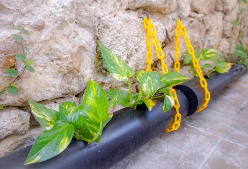 Les Suites Calle 2 By Galian