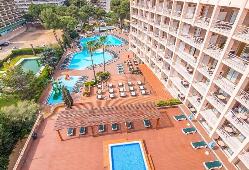 Golden Avenida Family Suites 4