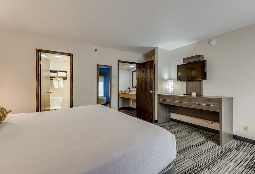 هتل Alexis Inn And Suites