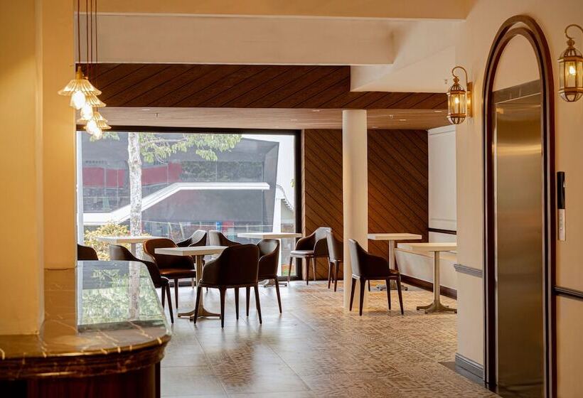 هتل Dai Nam Boutique