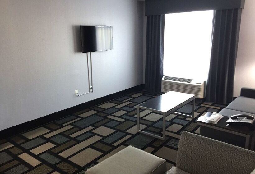 호텔 Best Western Plus Birmingham Inn & Suites