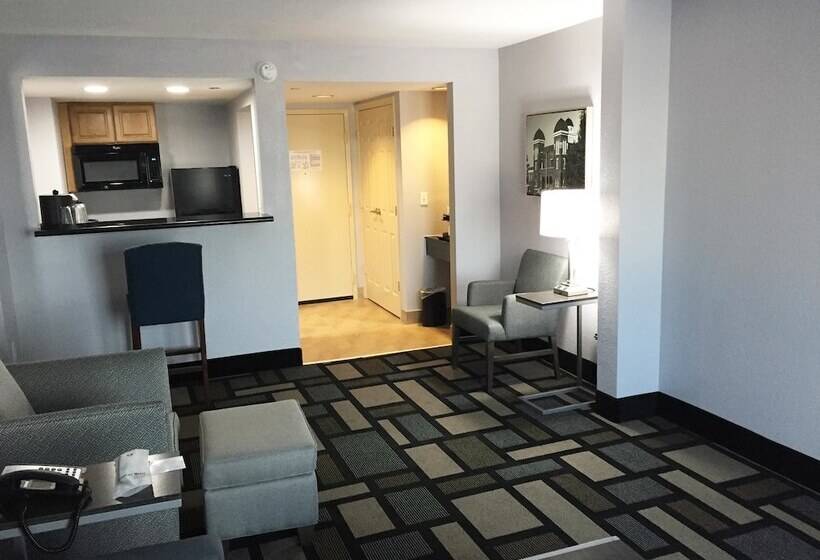 호텔 Best Western Plus Birmingham Inn & Suites