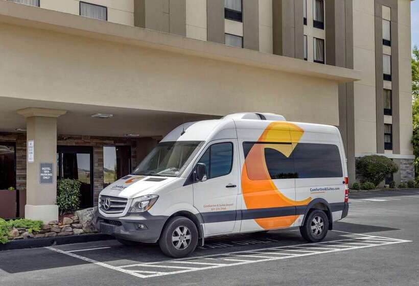 فندق Comfort Inn & Suites Airport