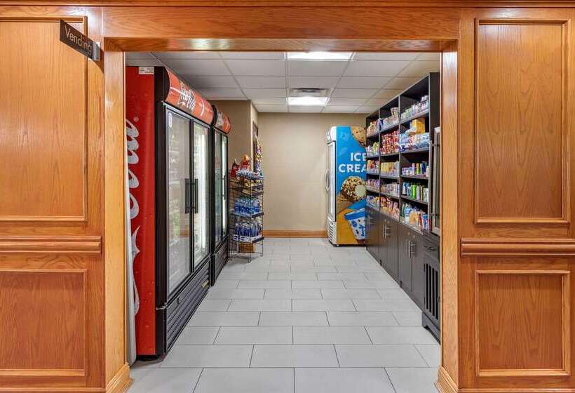 فندق Comfort Inn & Suites Airport