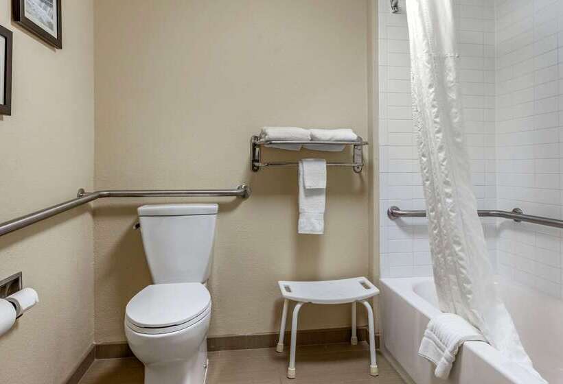 فندق Comfort Inn & Suites Airport