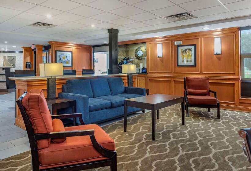 فندق Comfort Inn & Suites Airport