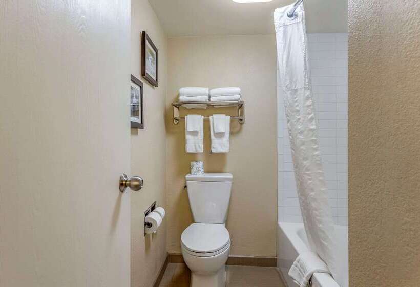 فندق Comfort Inn & Suites Airport