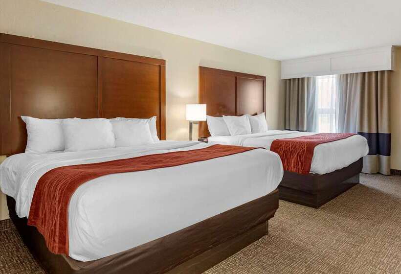 فندق Comfort Inn & Suites Airport