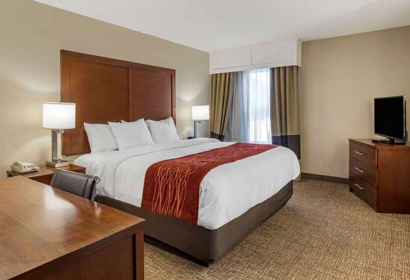 فندق Comfort Inn & Suites Airport