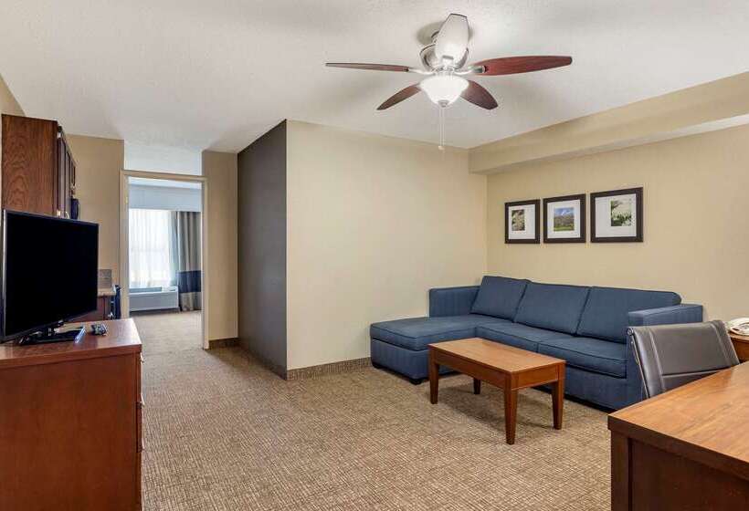 فندق Comfort Inn & Suites Airport