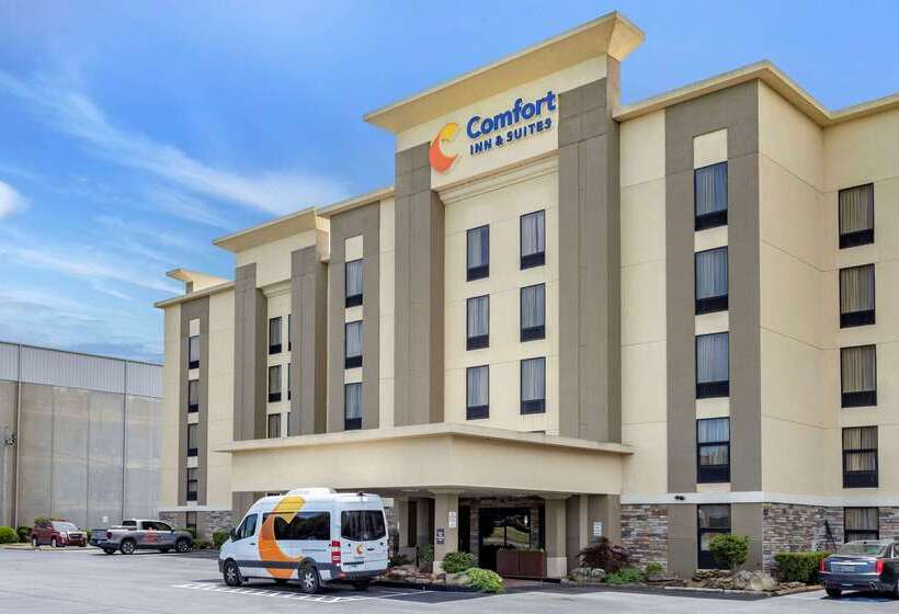 فندق Comfort Inn & Suites Airport