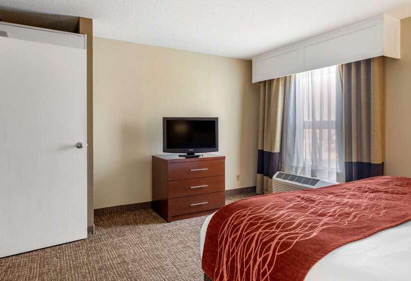 فندق Comfort Inn & Suites Airport