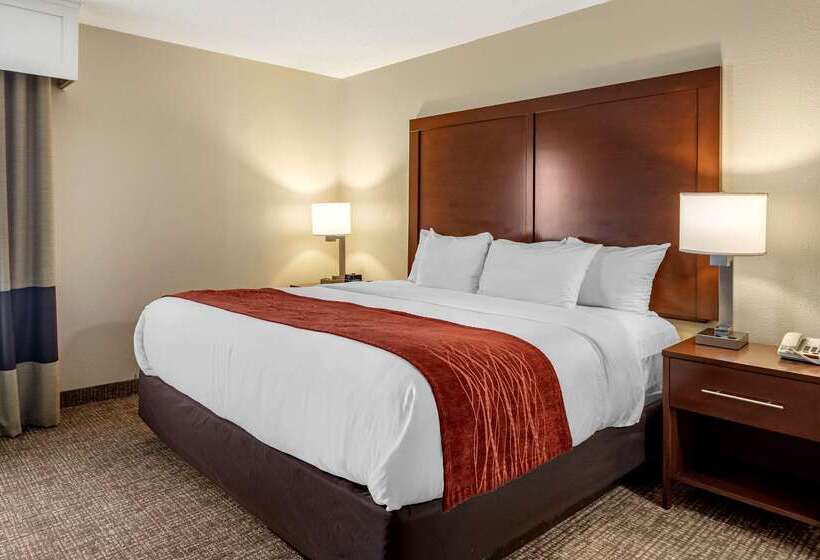 فندق Comfort Inn & Suites Airport