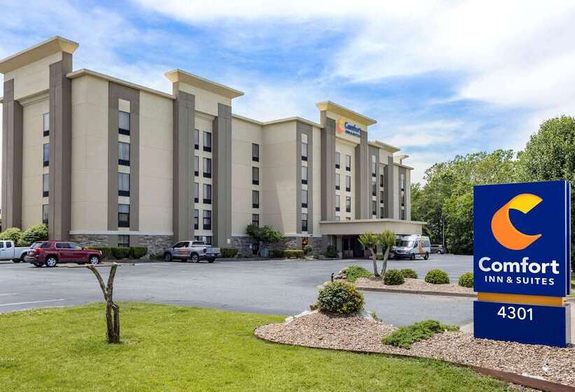 فندق Comfort Inn & Suites Airport
