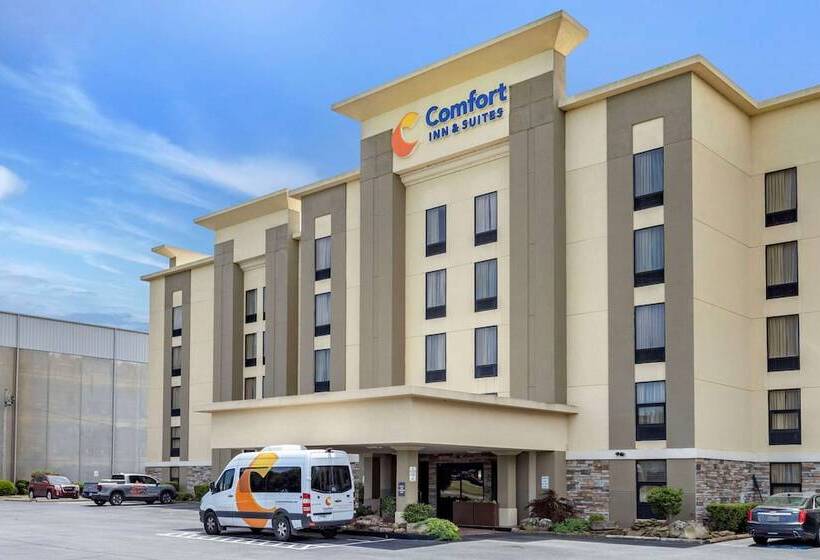 فندق Comfort Inn & Suites Airport