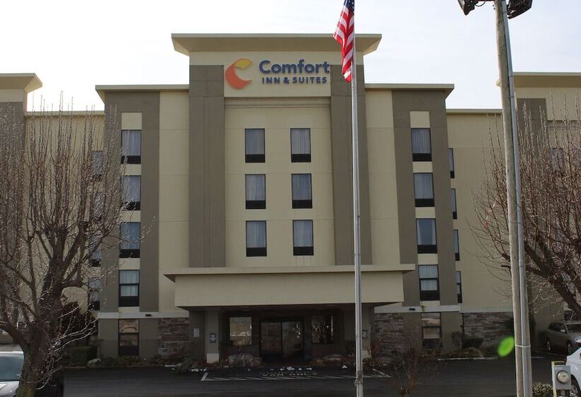 فندق Comfort Inn & Suites Airport