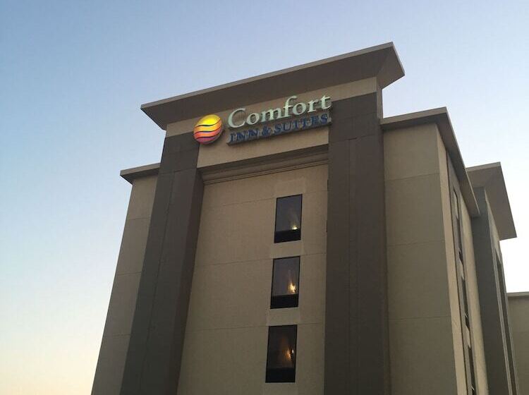 فندق Comfort Inn & Suites Airport
