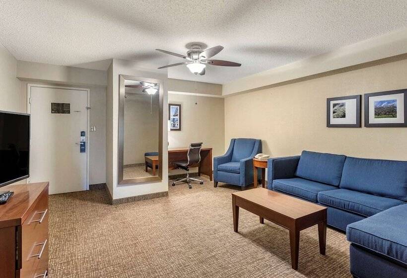 فندق Comfort Inn & Suites Airport