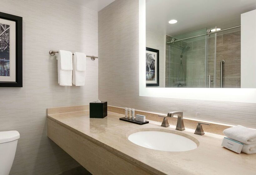 בית מלון כפרי Embassy Suites By Hilton Philadelphia Valley Forge