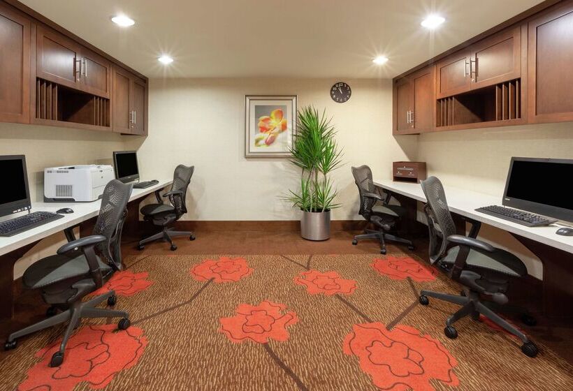 בית מלון כפרי Hilton Garden Inn Pittsburgh University Place