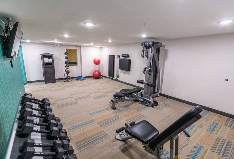 Holiday Inn Express Hotel & Suites Nashville Brentwood 65s