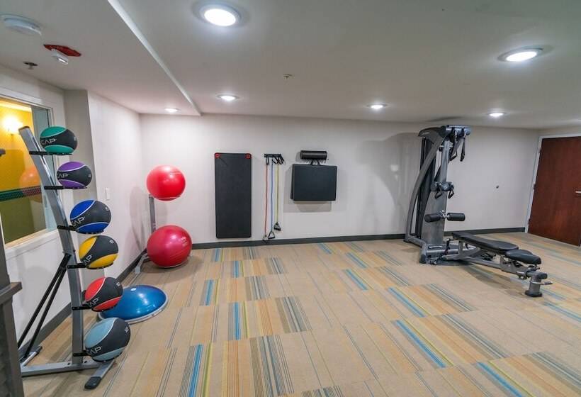 Holiday Inn Express Hotel & Suites Nashville Brentwood 65s