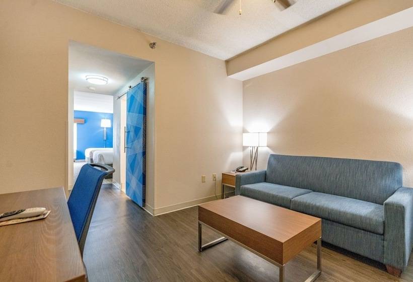 Holiday Inn Express Hotel & Suites Nashville Brentwood 65s