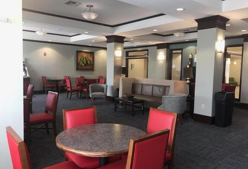 בית מלון כפרי Holiday Inn Express And Suites Snyder, An Ihg