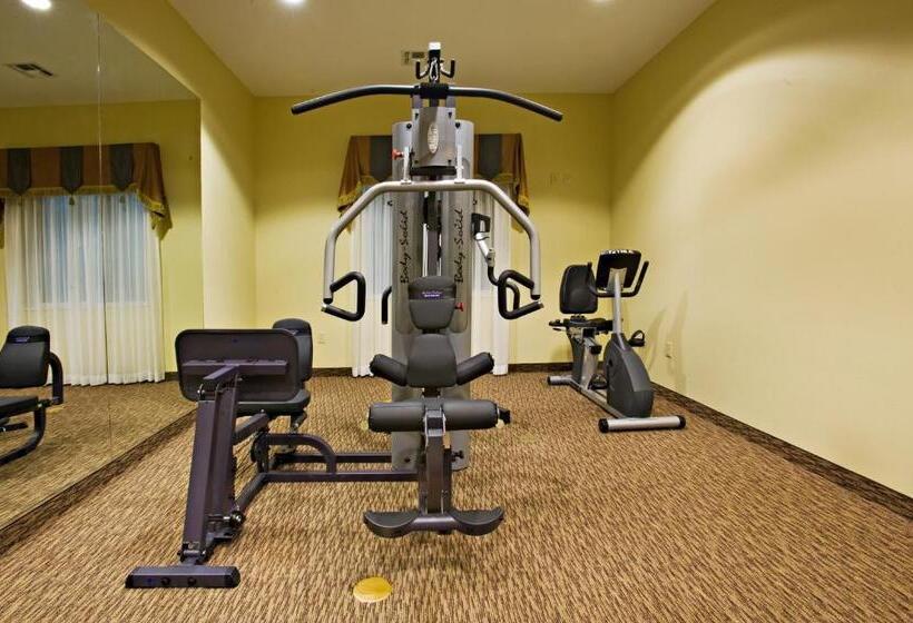 בית מלון כפרי Holiday Inn Express And Suites Snyder, An Ihg