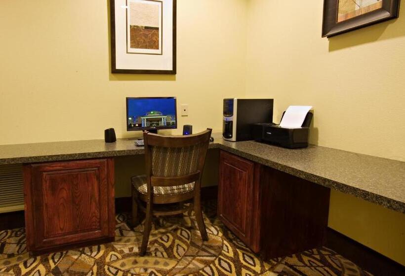 בית מלון כפרי Holiday Inn Express And Suites Snyder, An Ihg