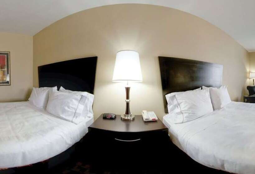 בית מלון כפרי Holiday Inn Express And Suites Snyder, An Ihg