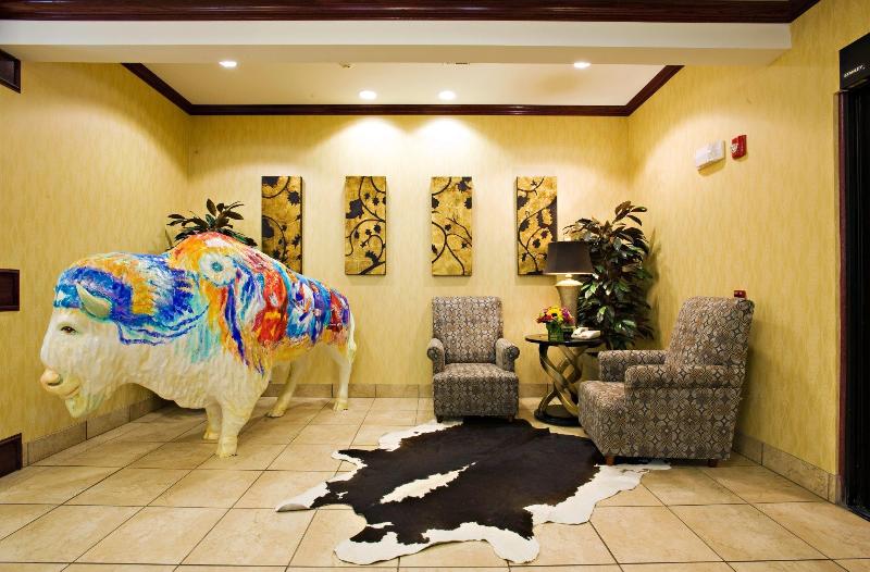 בית מלון כפרי Holiday Inn Express And Suites Snyder, An Ihg