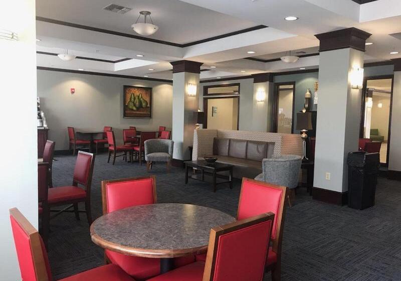 בית מלון כפרי Holiday Inn Express And Suites Snyder, An Ihg