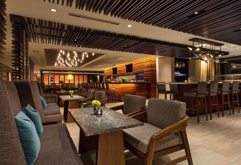 Отель Hyatt Centric Chicago Magnificent Mile