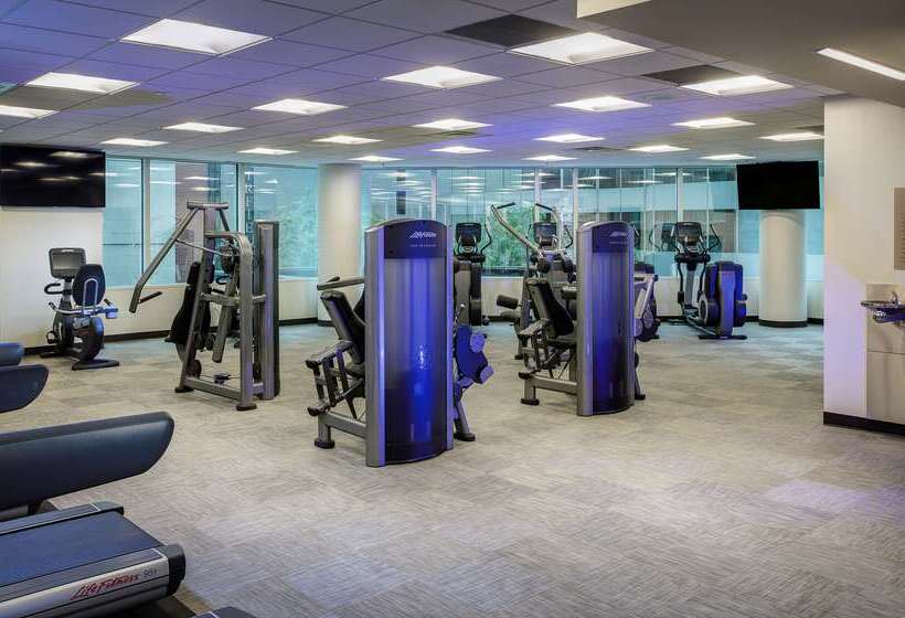 Отель Hyatt Centric Chicago Magnificent Mile