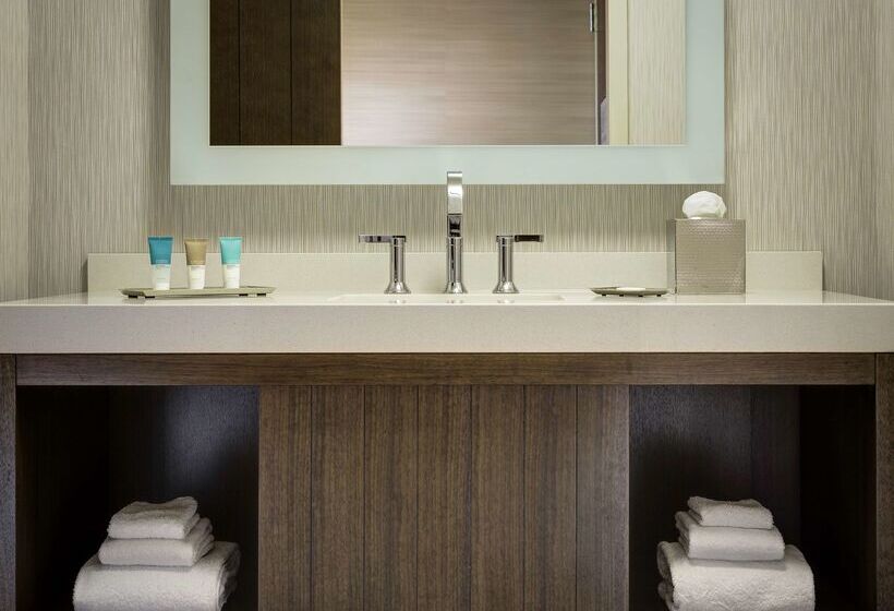 Отель Hyatt Centric Chicago Magnificent Mile